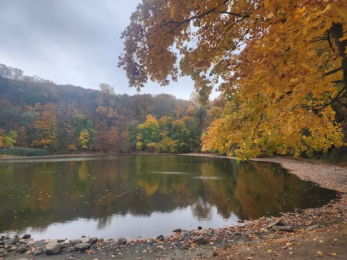 Pleasant Lake Picture 3