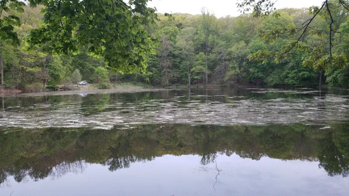 Pleasant Lake Picture 1