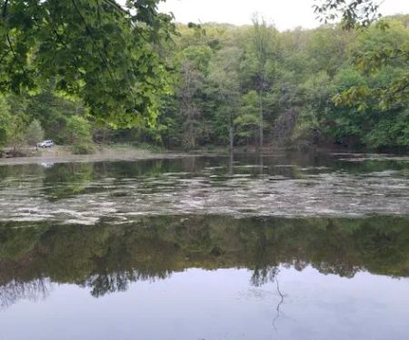 Pleasant Lake