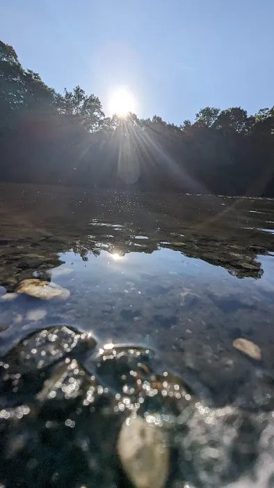 Pleasant Lake Picture 10