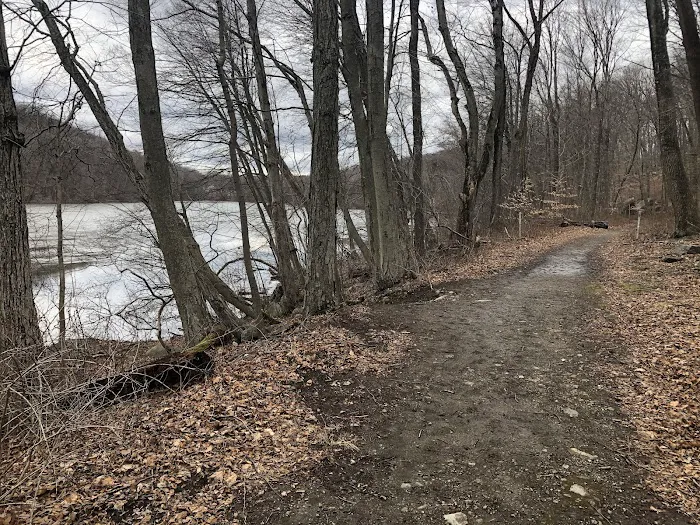 Pocantico Park Picture 4