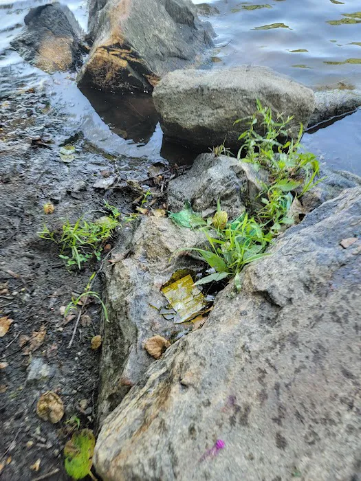 Pocantico Park Picture 10