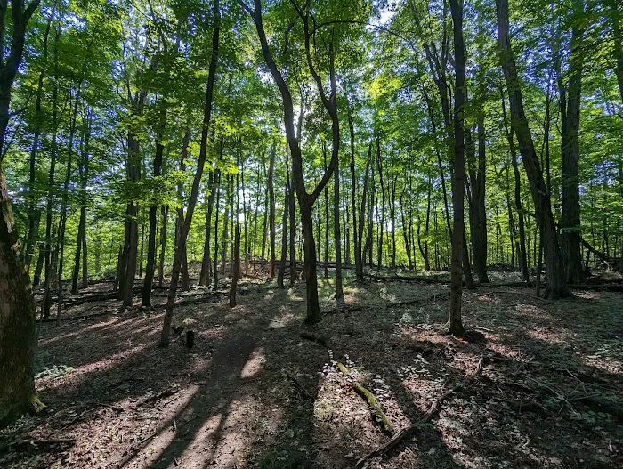 Pocantico Park Picture 7
