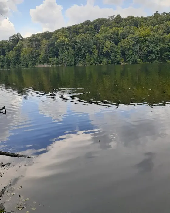 Pocantico Park Picture 6