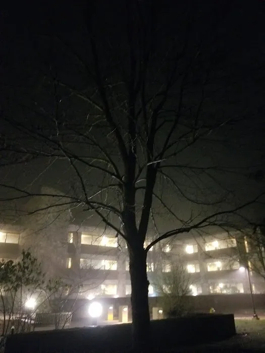 Cedar Hall Picture 2
