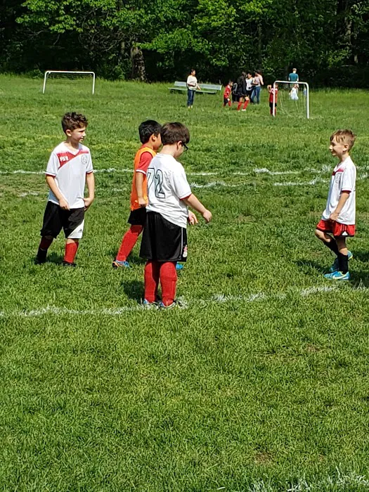 Peabody Field Picture 4