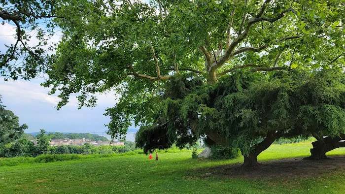 Rockwood Hall Picture 8