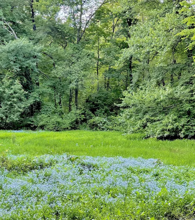 Wild Flower Sanctuary Picture 2