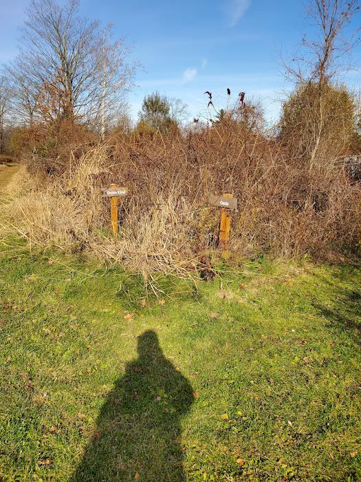 Greenwich Audubon Center Picture 7