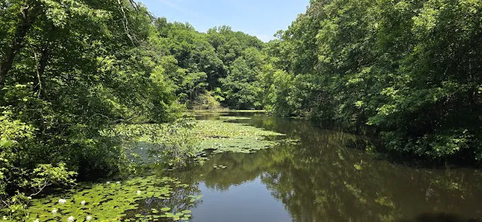 National Audubon Society Picture 6