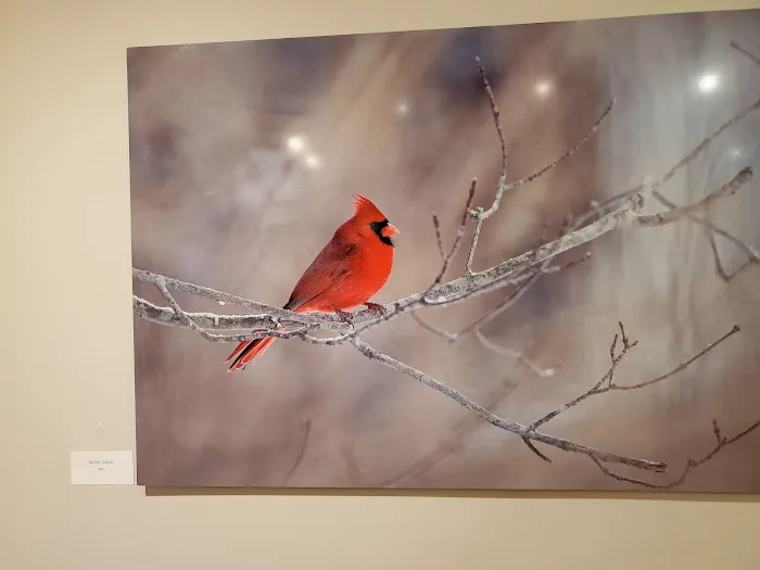 National Audubon Society Picture 10