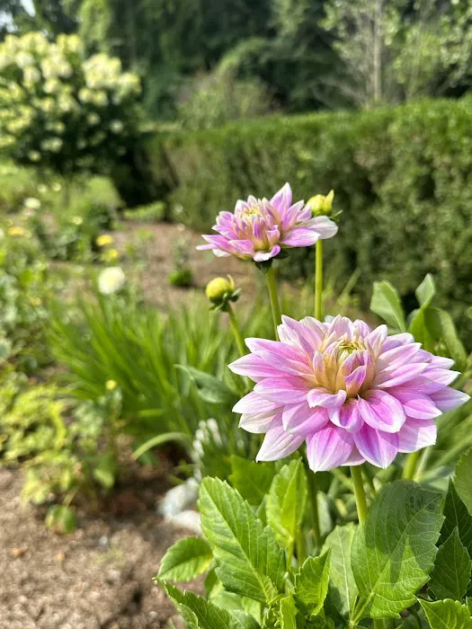 Fairchild Wildflower Sanctuary Picture 7