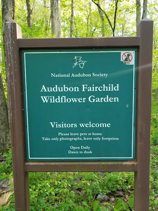 Fairchild Wildflower Sanctuary Picture 8
