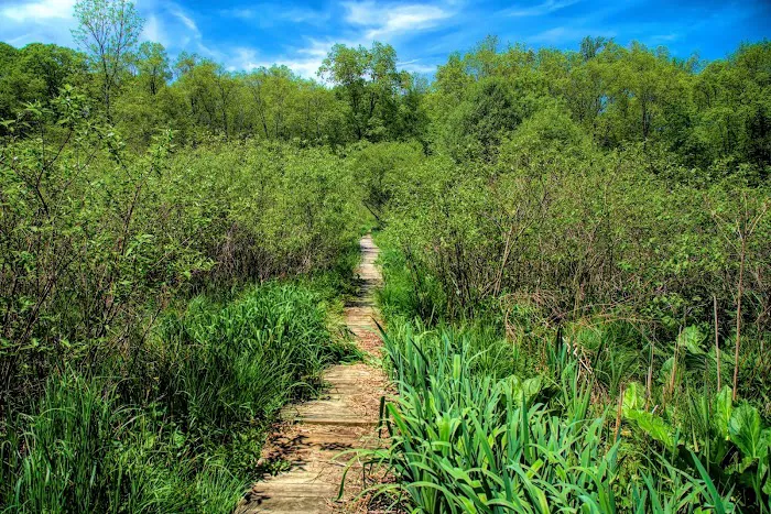 Fairchild Wildflower Sanctuary Picture 1