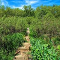 Fairchild Wildflower Sanctuary ico