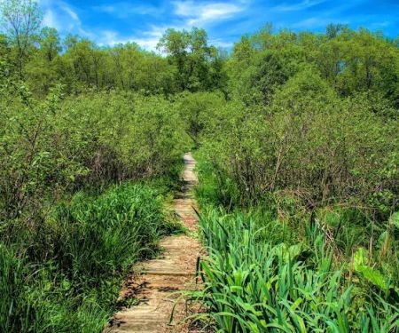 Fairchild Wildflower Sanctuary