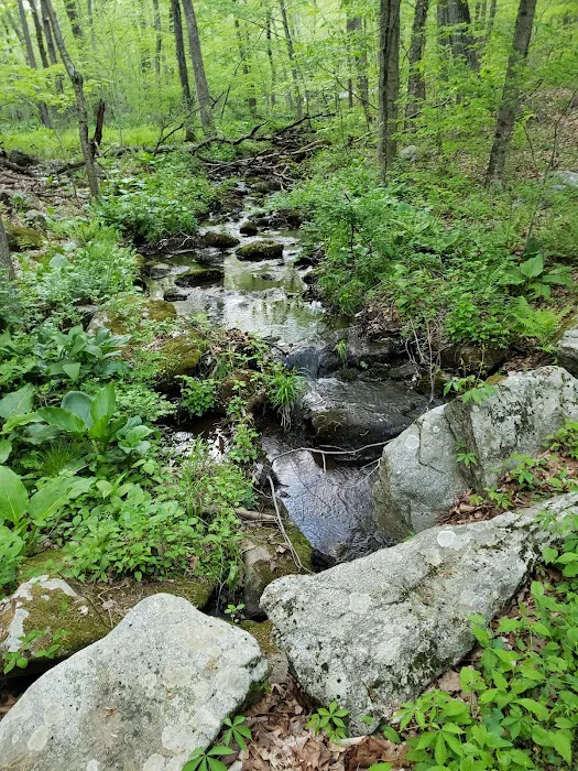 Audubon Fairchild Garden Picture 3