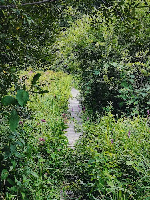 Audubon Fairchild Garden Picture 1