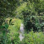 Audubon Fairchild Garden