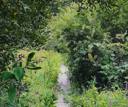Audubon Fairchild Garden