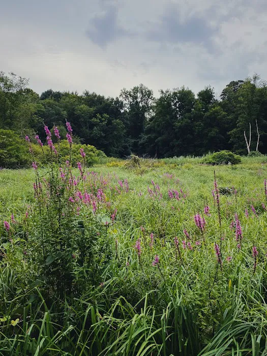 Audubon Fairchild Garden Picture 2