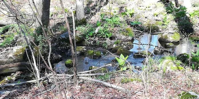Audubon Fairchild Garden Picture 10
