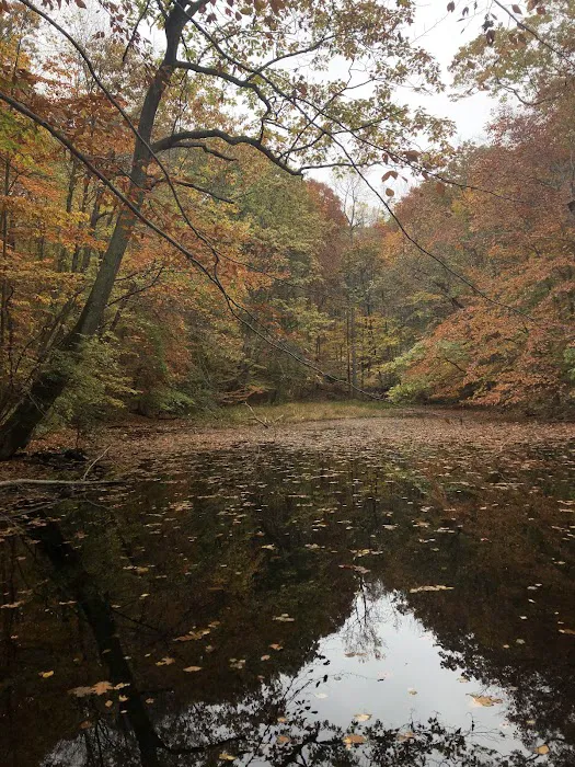 Betsy Sluder Nature Preserve Picture 1