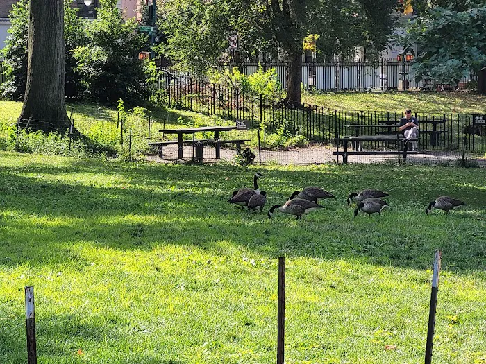 Lafayette Square Picture 2
