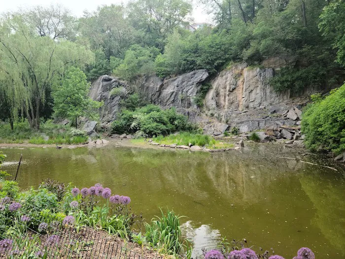 Morningside Waterfall Picture 2