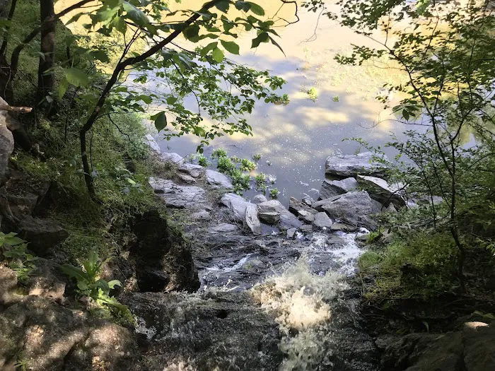 Morningside Waterfall Picture 10