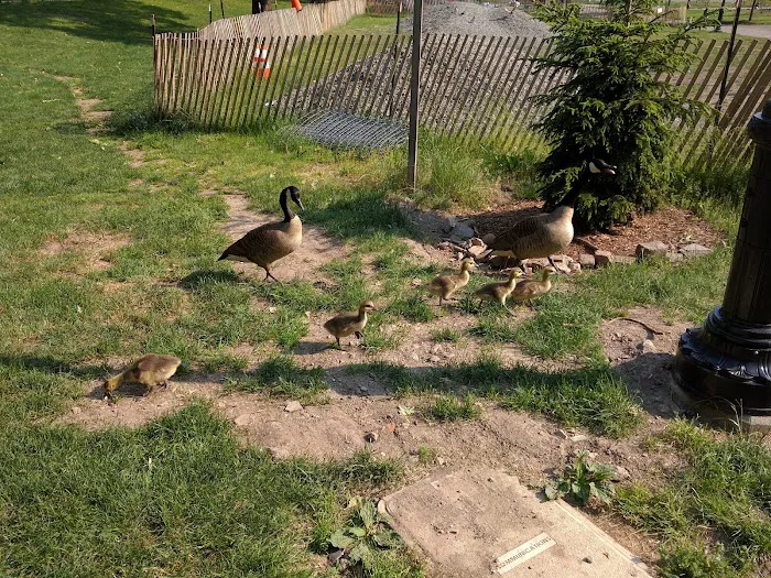 Friends of Morningside Park Picture 5