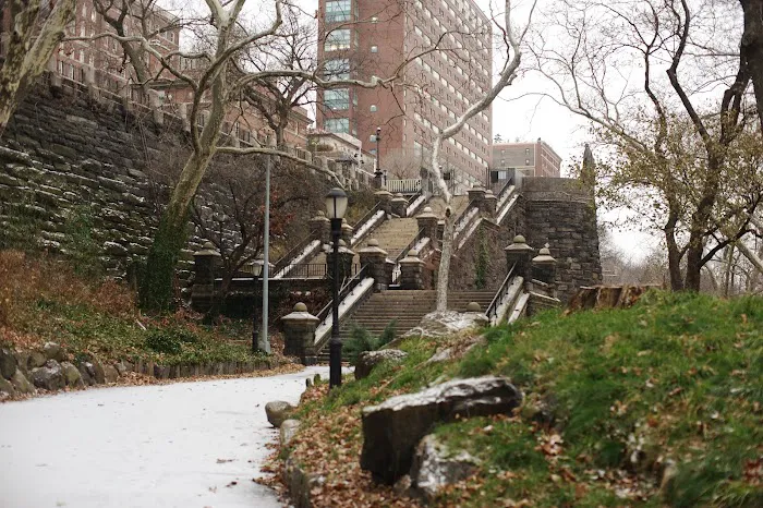 Friends of Morningside Park Picture 4