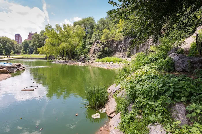 Friends of Morningside Park Picture 10