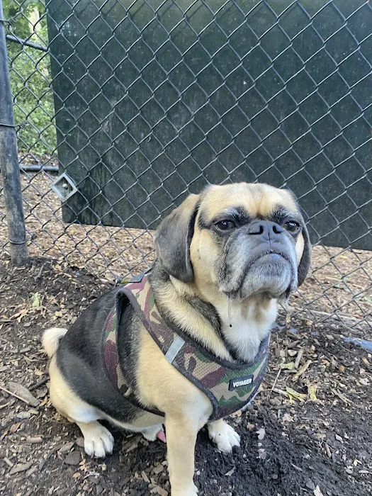 Morningside Park Dog Run Picture 1