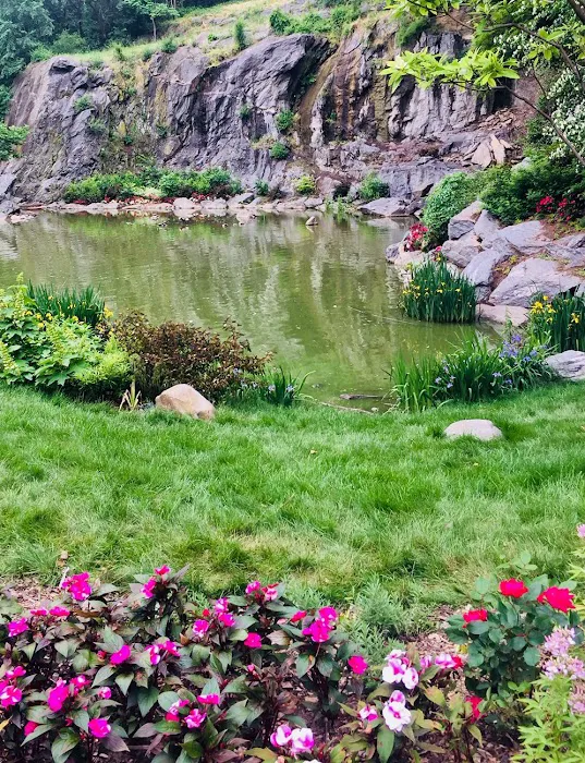 Morningside Park Dog Run Picture 3