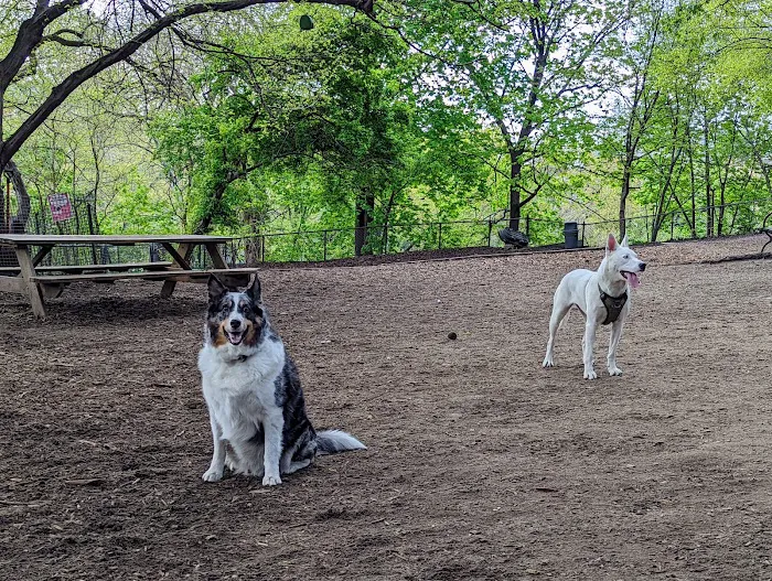 Morningside Park Dog Run Picture 2