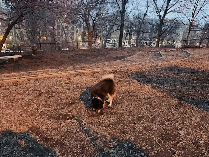 Morningside Park Dog Run Picture 9
