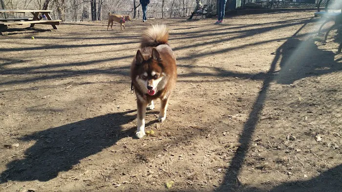 Morningside Park Dog Run Picture 4