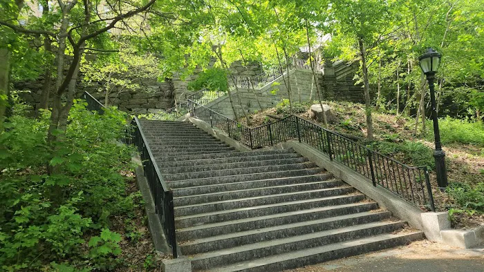 Morningside Park Dog Run Picture 6