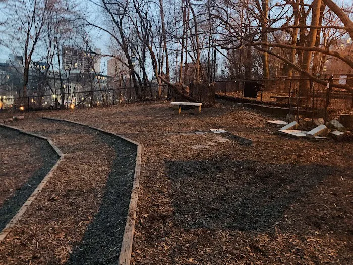 Morningside Park Dog Run Picture 8
