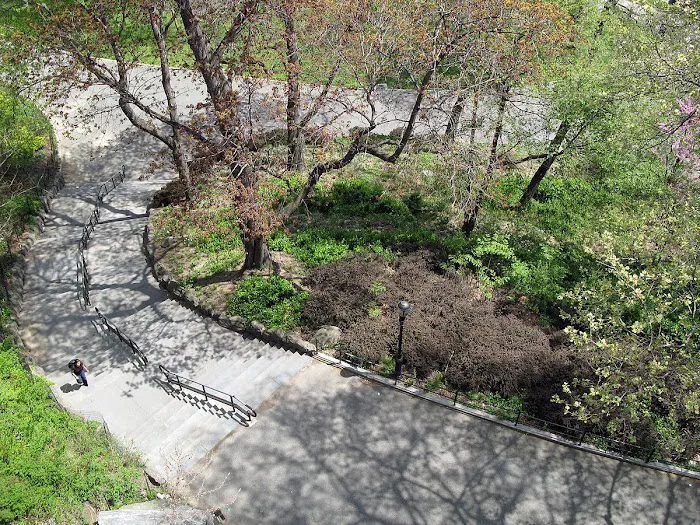 Morningside Park Picture 7