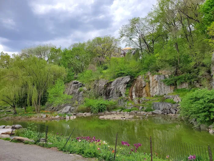 Morningside Park Picture 9