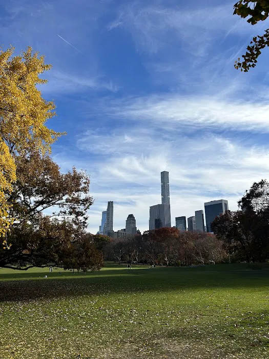 Runners' Grove Picture 10