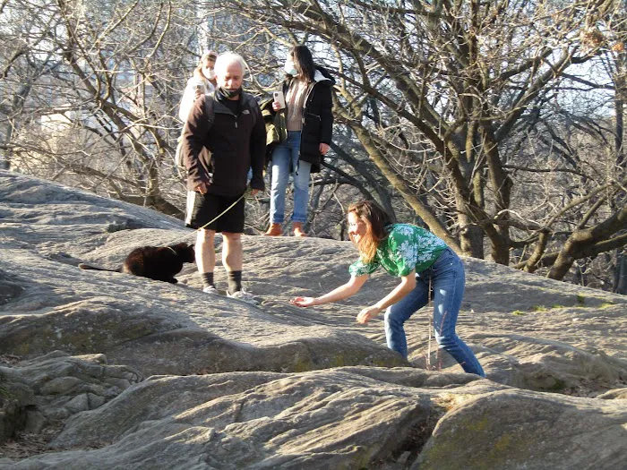 Lounging Rock Picture 9