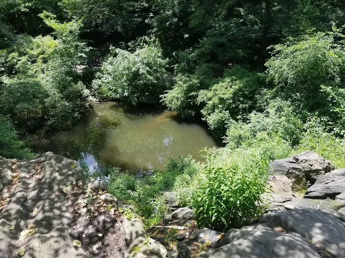 Hallett Nature Sanctuary Picture 7