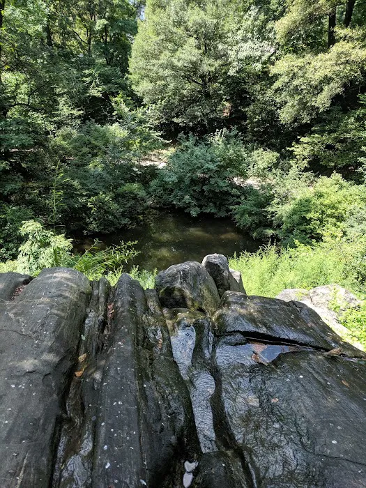 Hallett Nature Sanctuary Picture 2