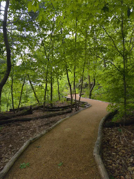 Hallett Nature Sanctuary Picture 1