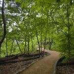 Hallett Nature Sanctuary