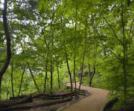 Hallett Nature Sanctuary