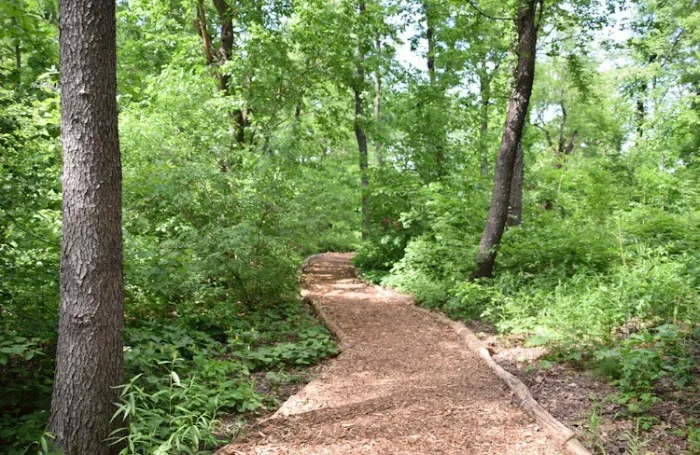 Hallett Nature Sanctuary Picture 5